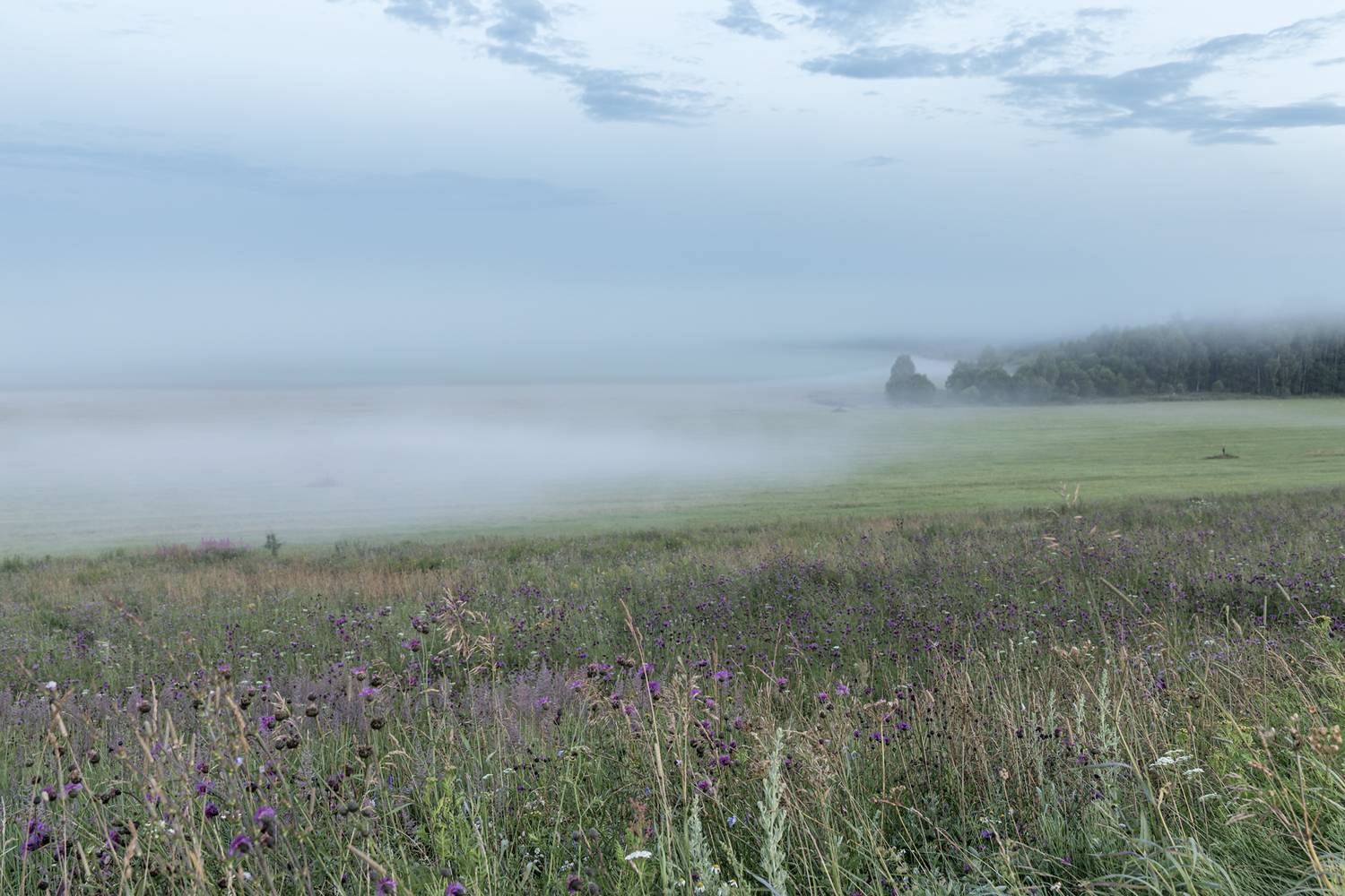 , Шурчков Юрий