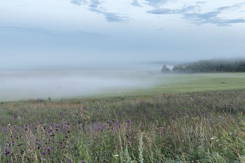 Вечером на поле вышел туман фото превью