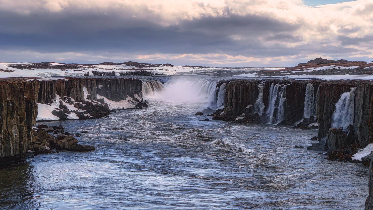 , Шварцман Евгений