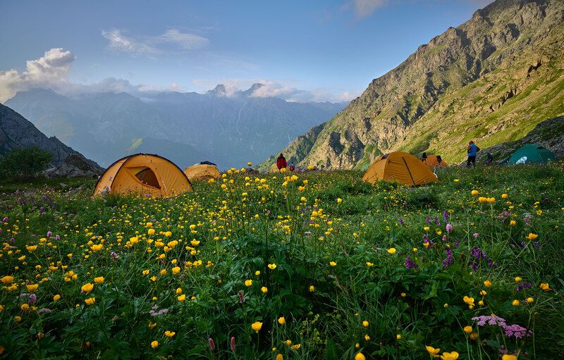 Сказочная Дигория (из серии). фото превью