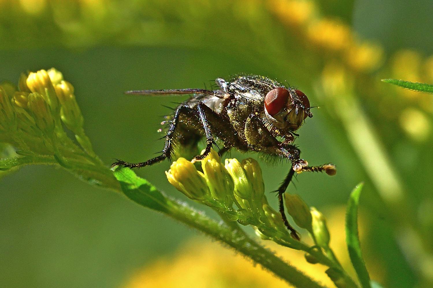 , Корнейчук Игорь