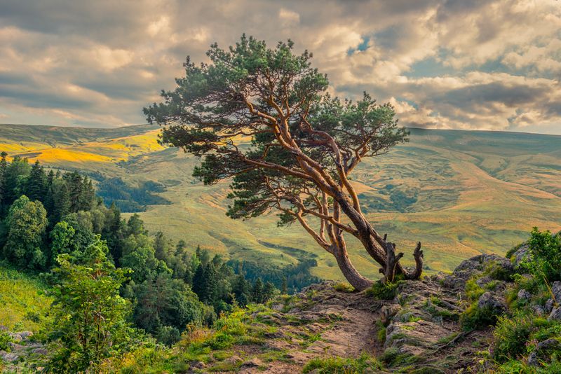 *** фото превью