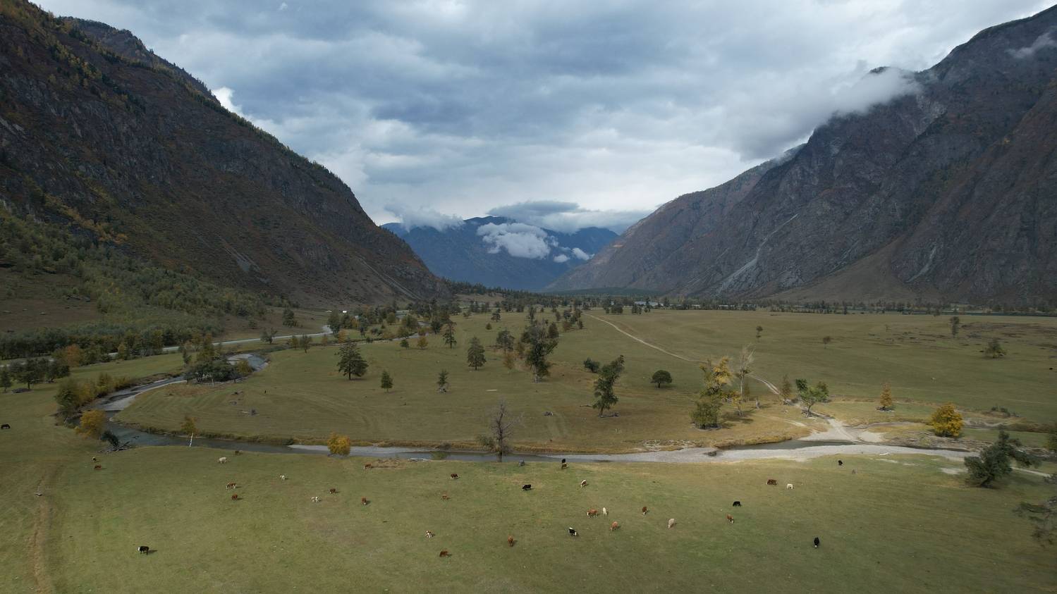 , Константин Буркин