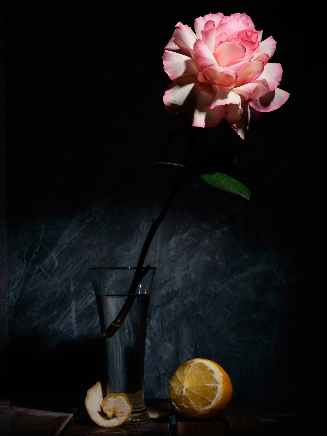 , Тим Мартынов