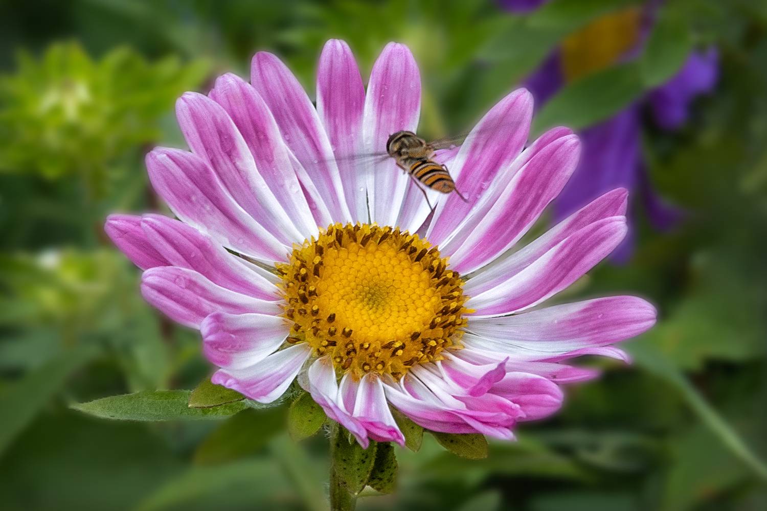 , Ушаков Валерий