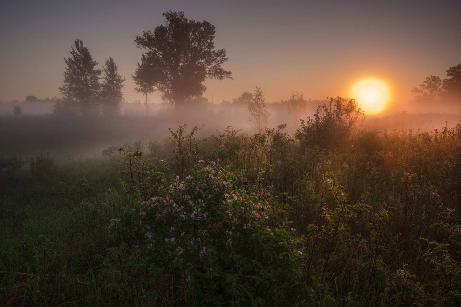 сибирь, лета, утро, рассвет, свет, солнце, природа, Чичкин Валерий