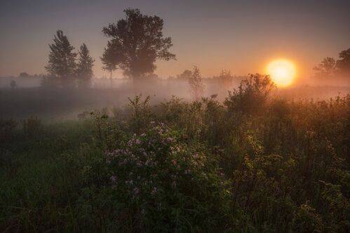 Встречая свет