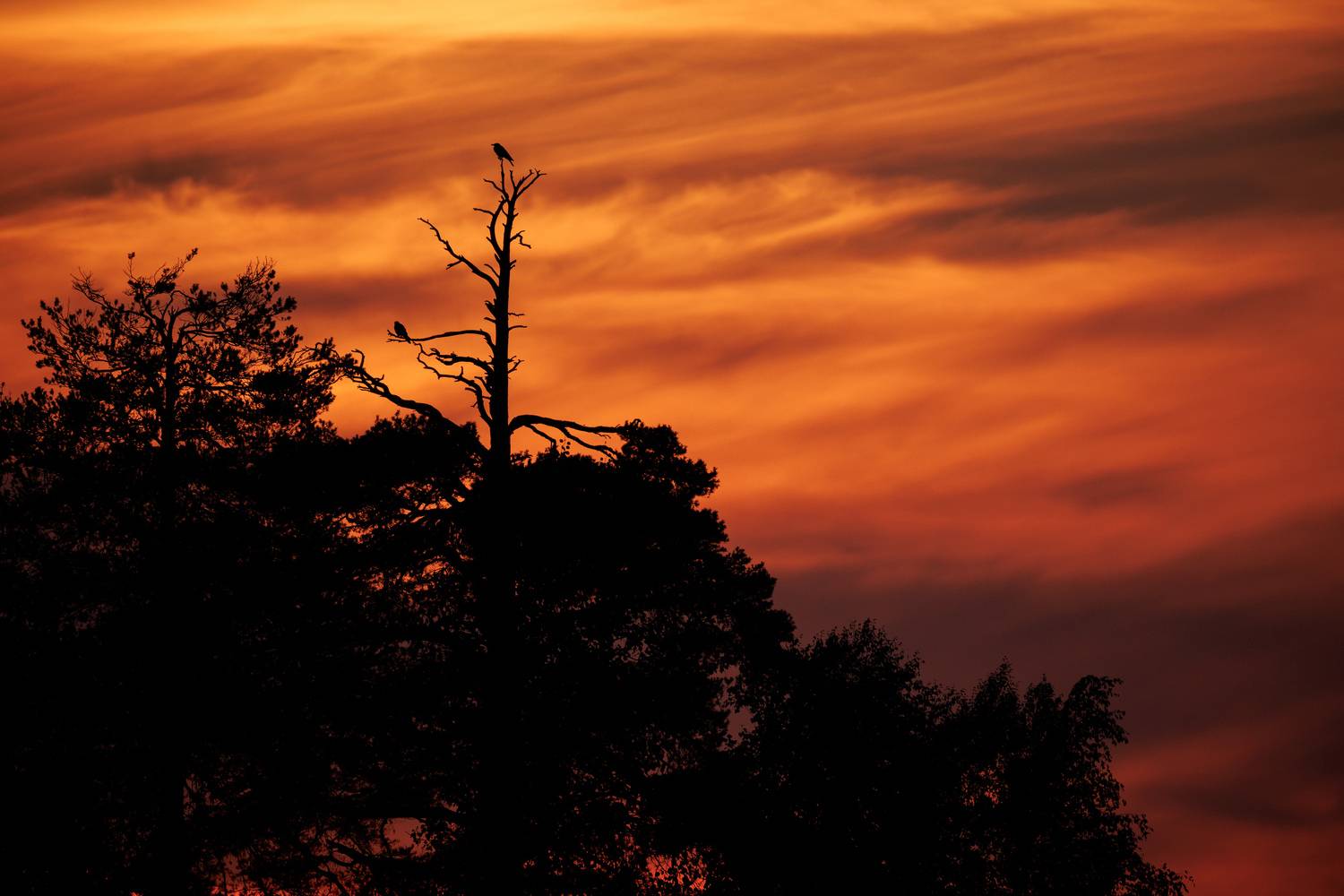 , ssmirs Сергей