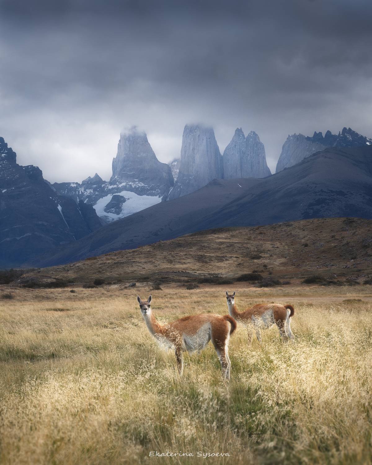 , Екатерина Сысоева