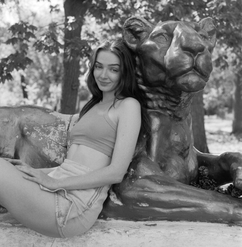 Wild Cats фото превью