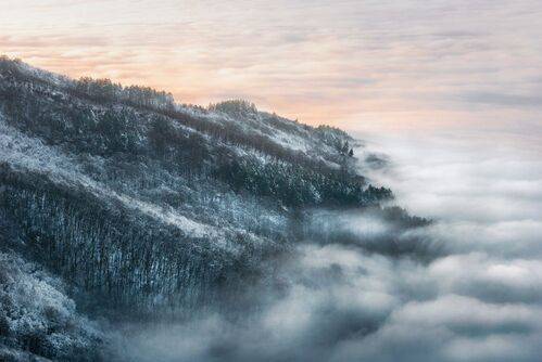 Foggy Morning