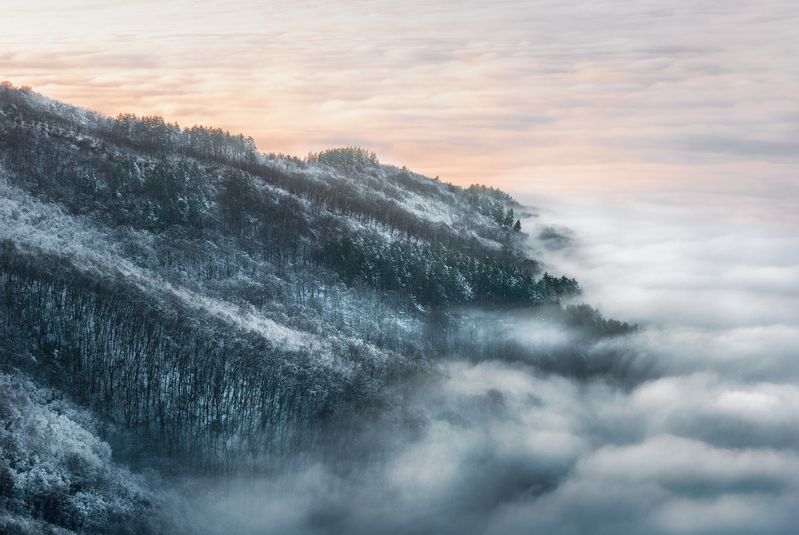Foggy Morning фото превью