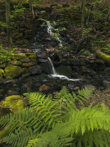 Small waterfall in the forest