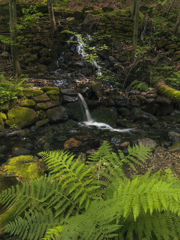 czech,czechia,lusatian,forest,waterfall,water,woodscape Small waterfall in the forest фото превью