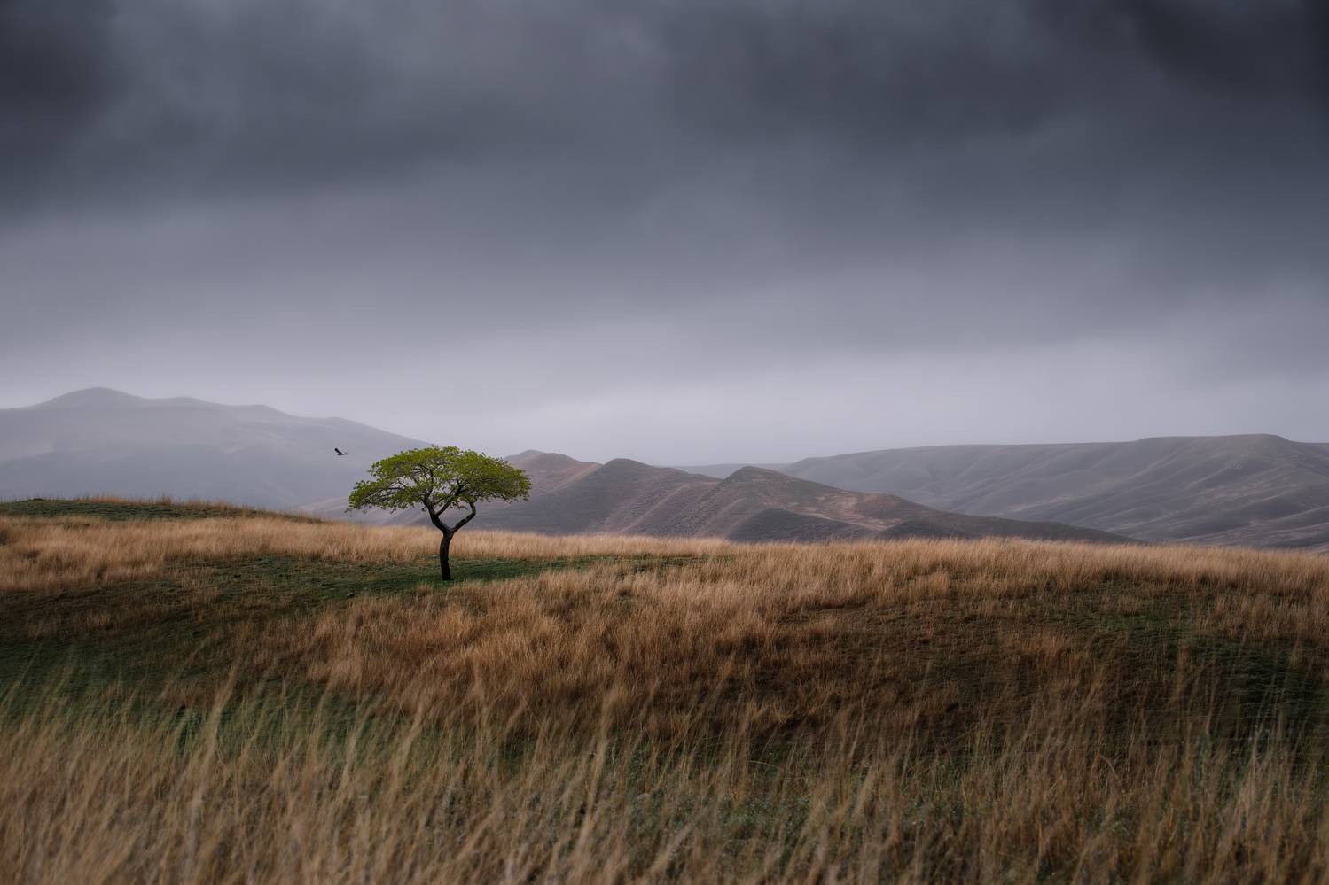 , Георгий Бычковский