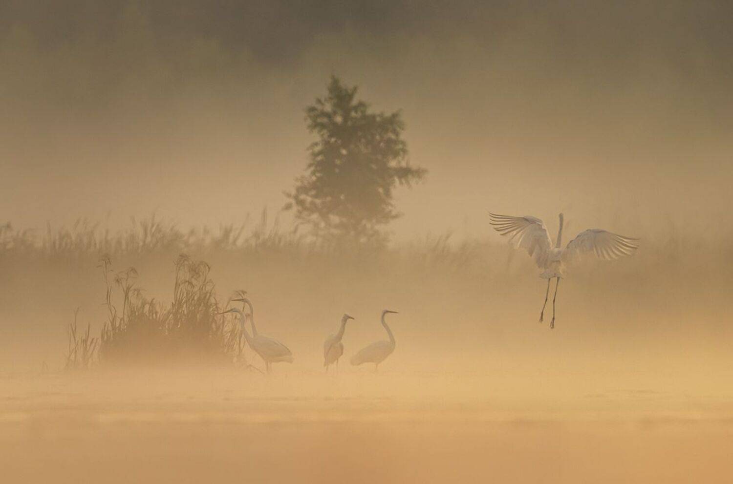 , Sławek Przybylski