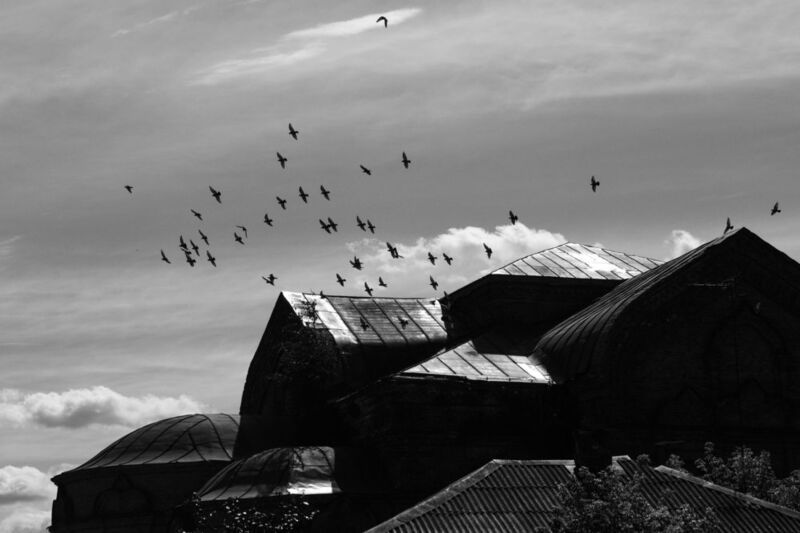 юрьев-польский, стрит, город, владимирская область Юрьев-Польский фото превью