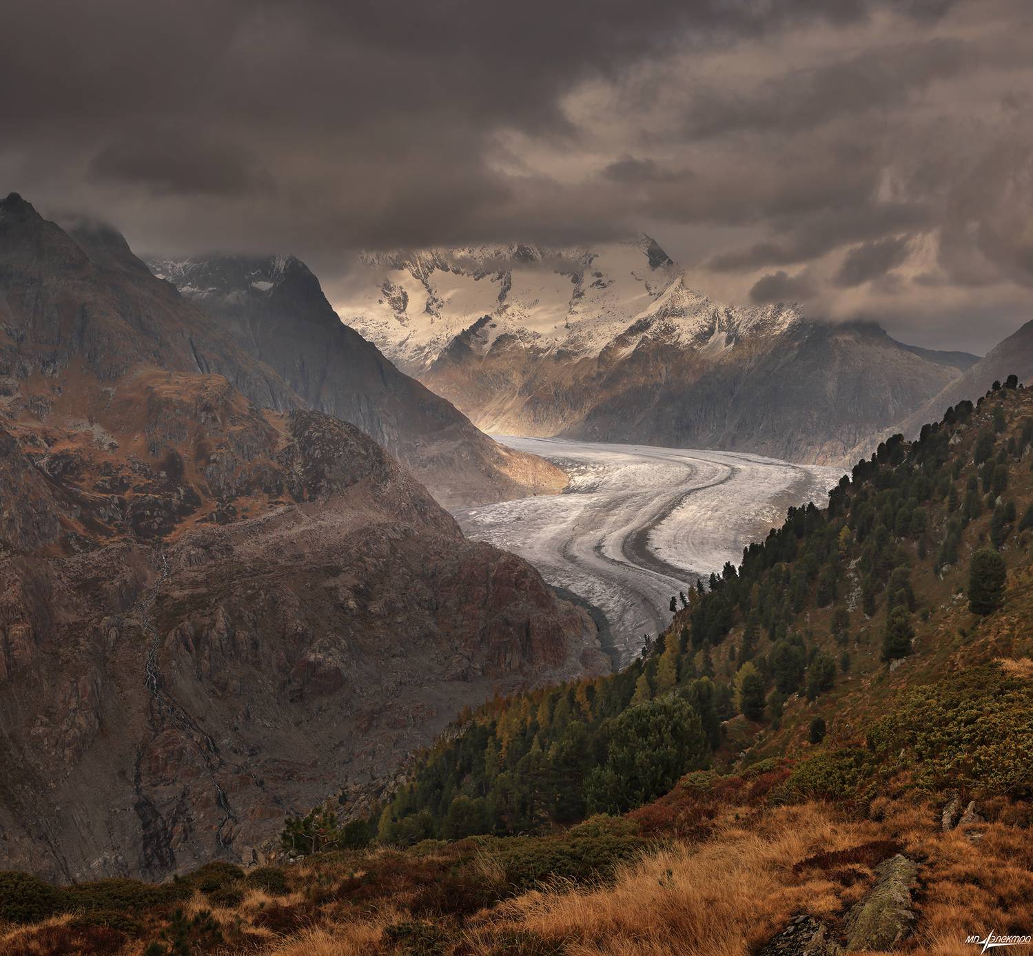 swiss, Матвеев Николай