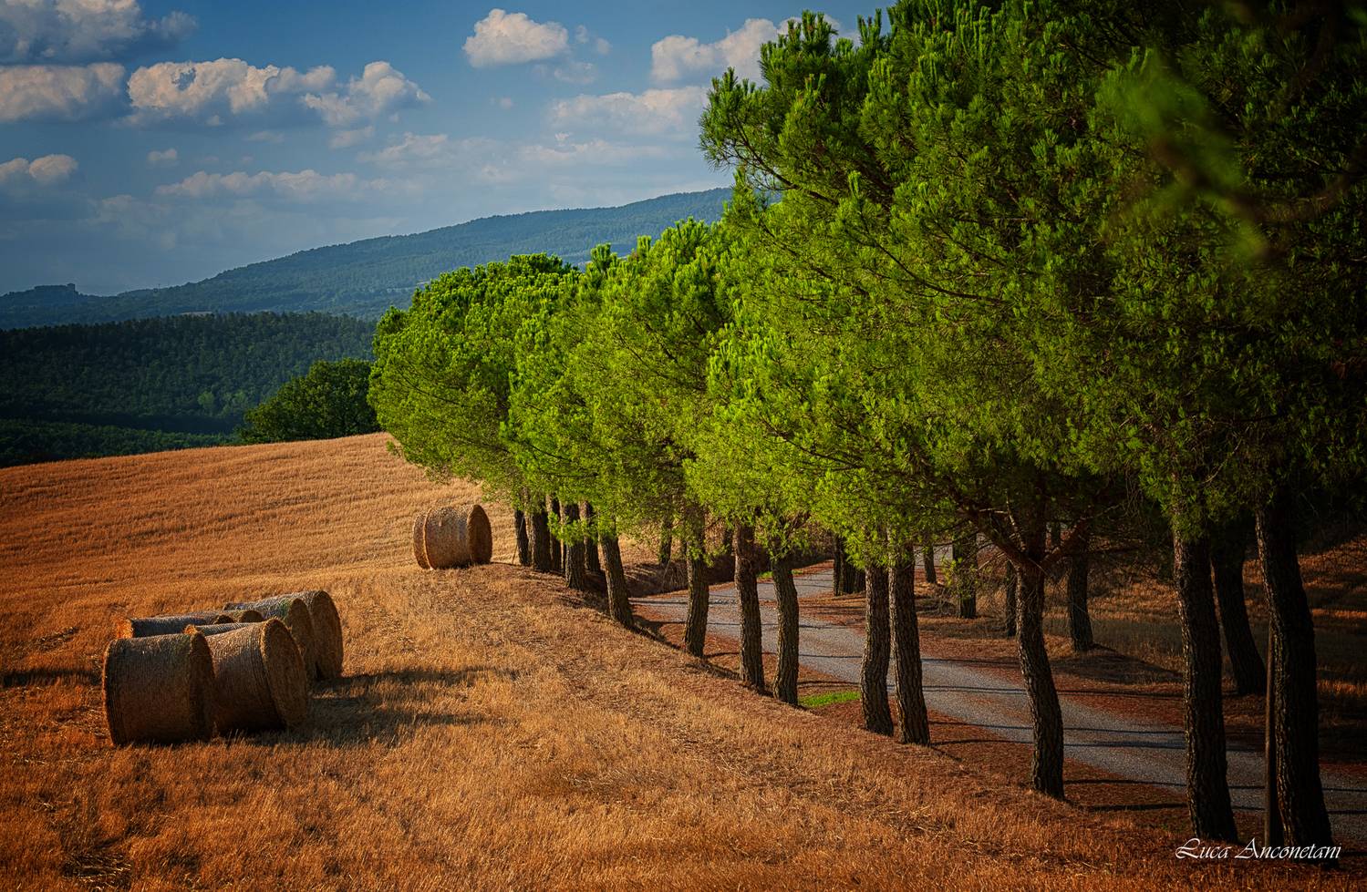 tuscany italy pienza landscape nature travel si, Anconetani Luca