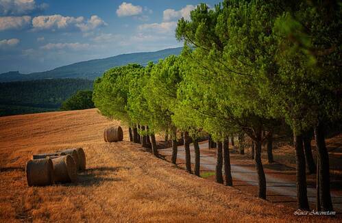 Val d\'Orcia
