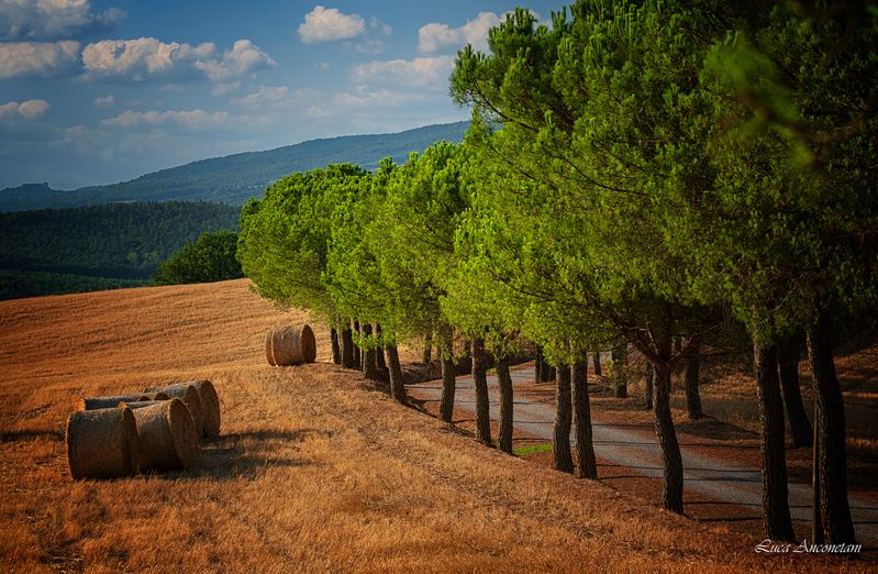 tuscany italy pienza landscape nature travel si Val d\\\'Orcia фото превью