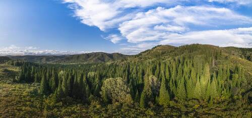 Алтайский край