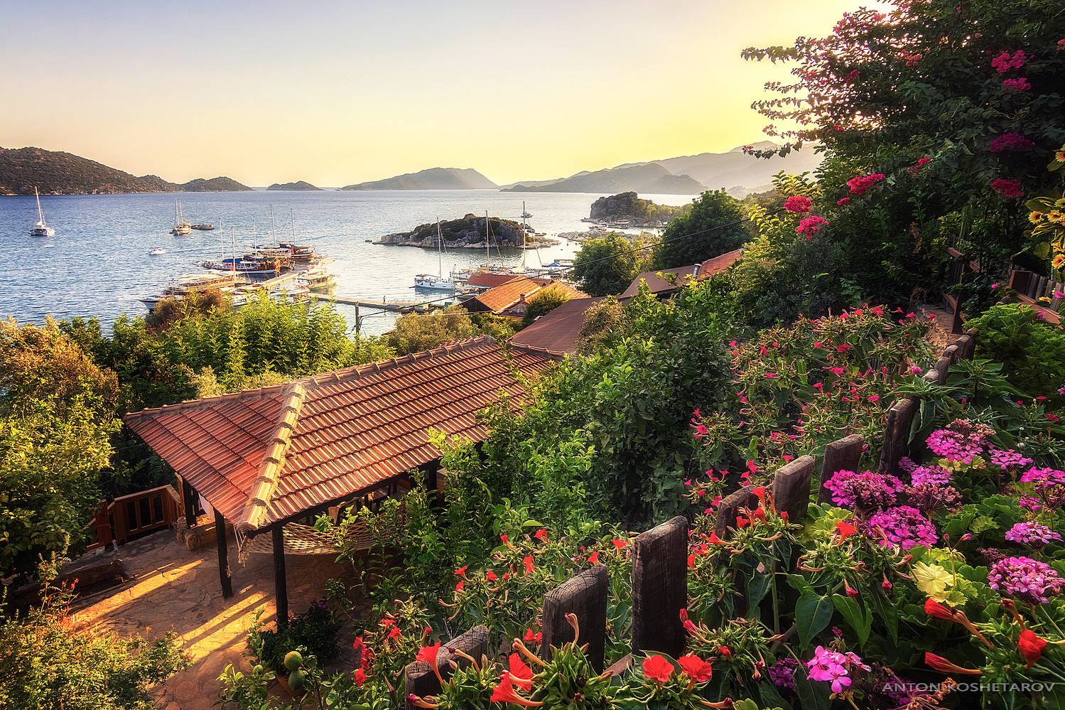 , Антон Кошетаров