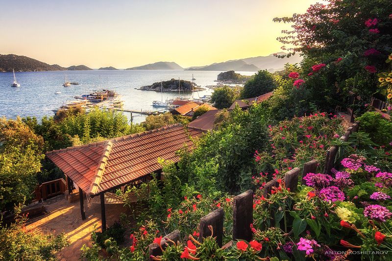 Летнее настроение фото превью