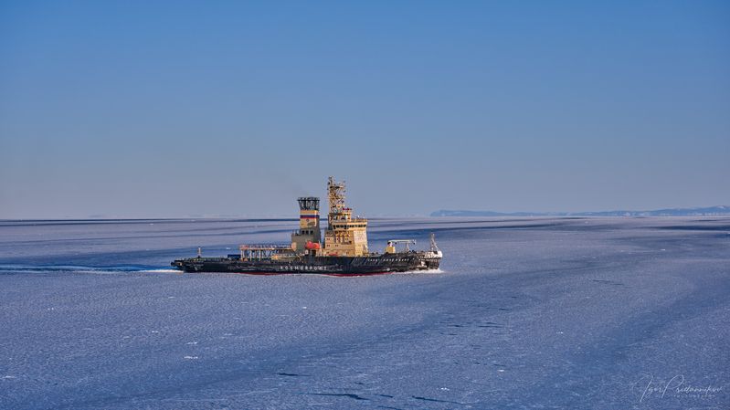 Деловые будни фото превью