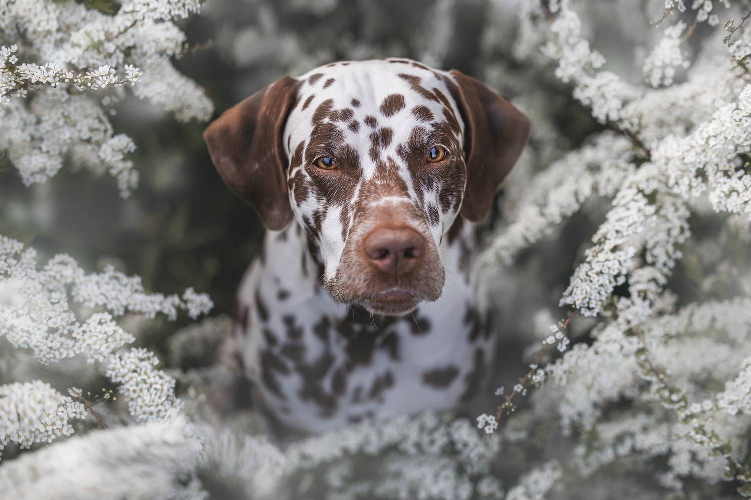 , Яна Нарбутович