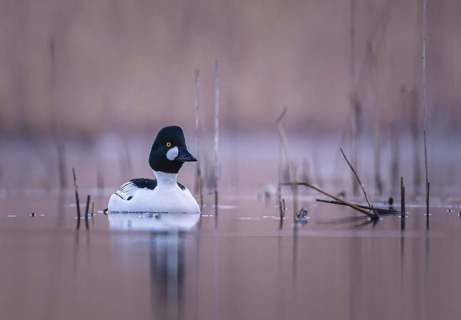 , Sławek Przybylski