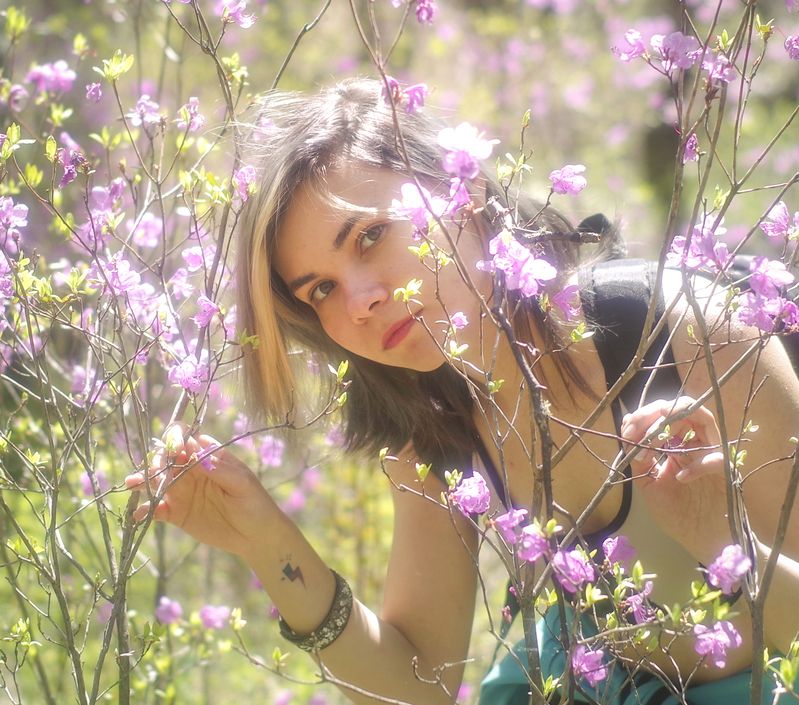 Багульник фото превью