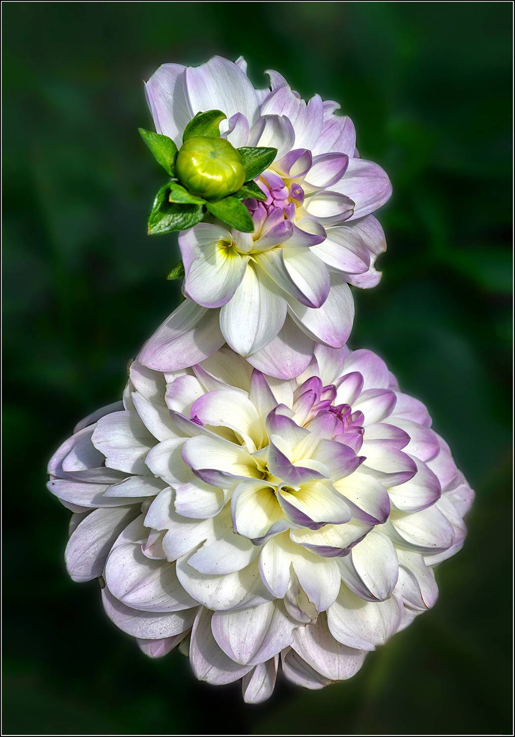 , Ушаков Валерий