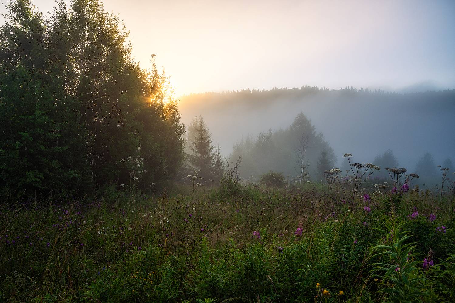 , Кузнецов Кирилл