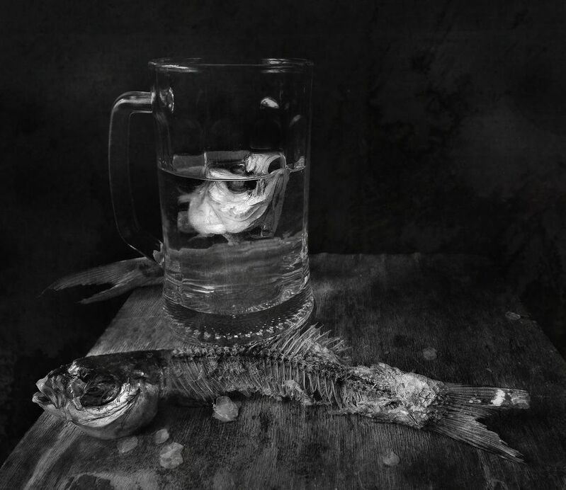 Да, голова глупа. Она не знает курса. фото превью