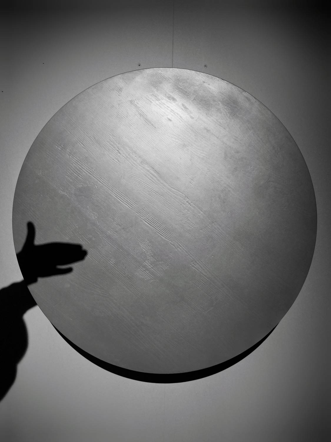 тень, история, Зорин Миша