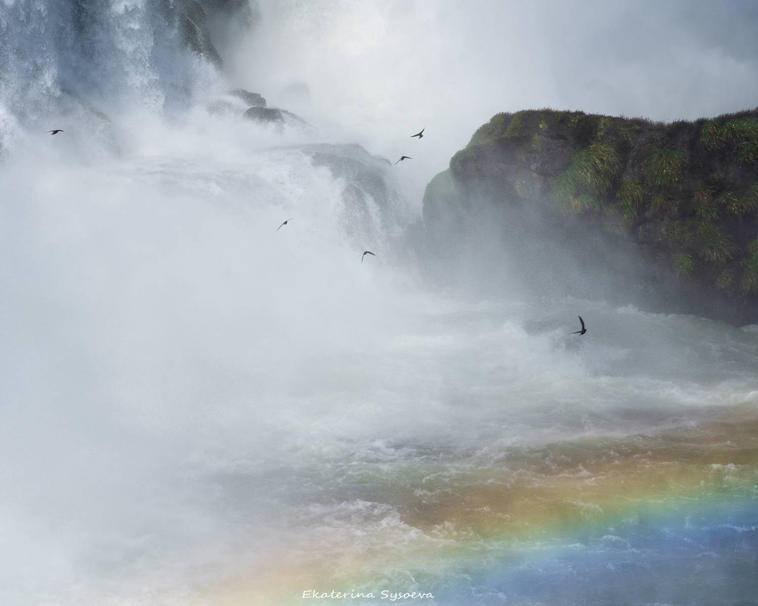 , Екатерина Сысоева