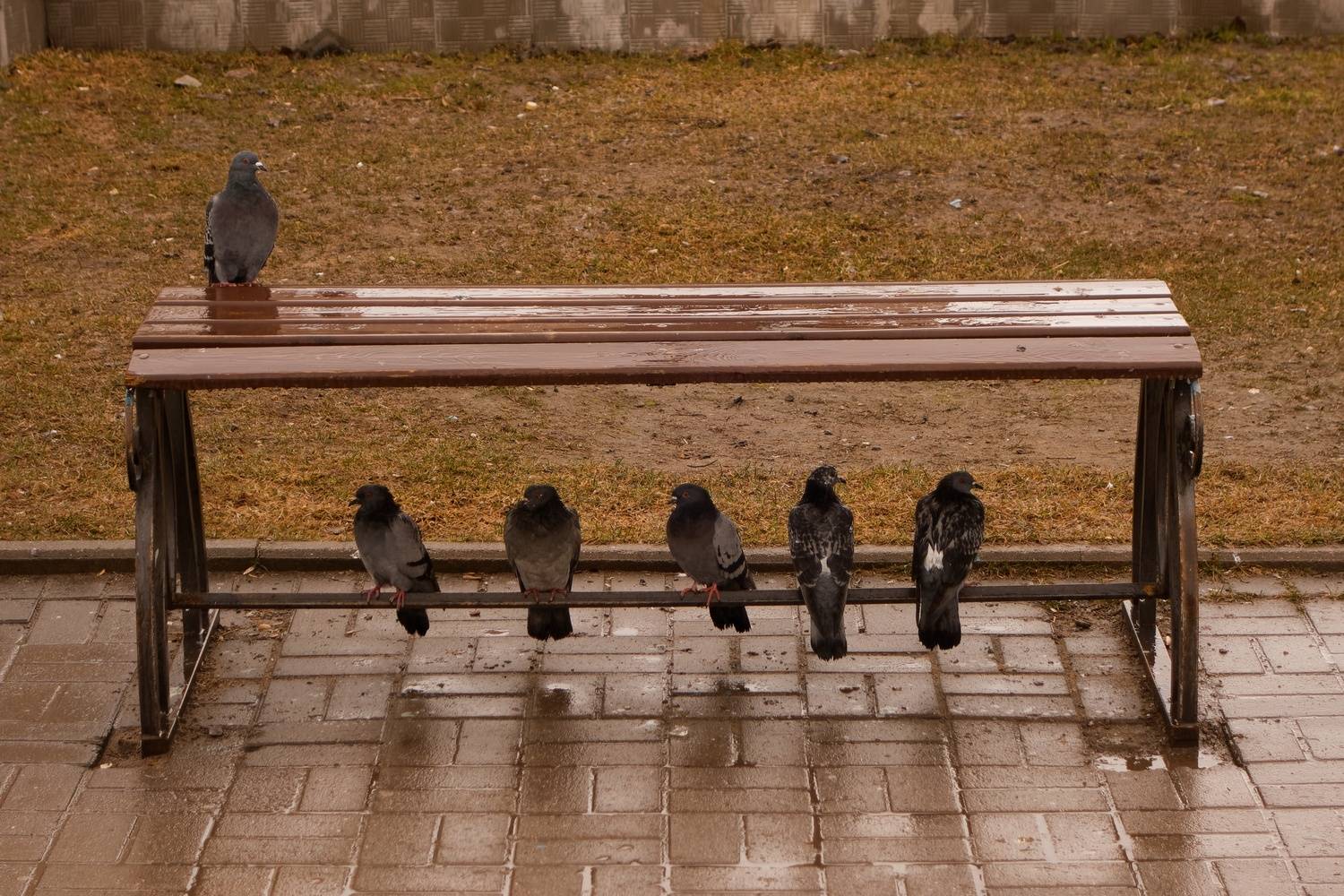 , Какоткин Роман