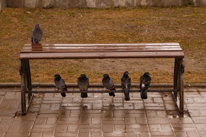 Непогода фото превью