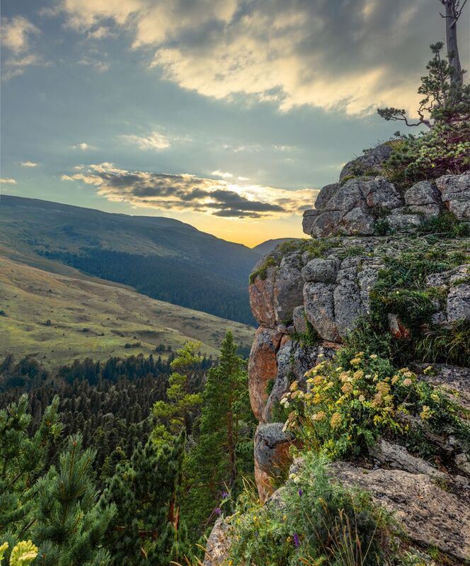 *** фото превью