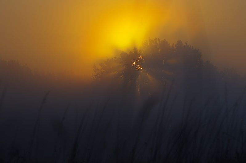 Утренний свет фото превью