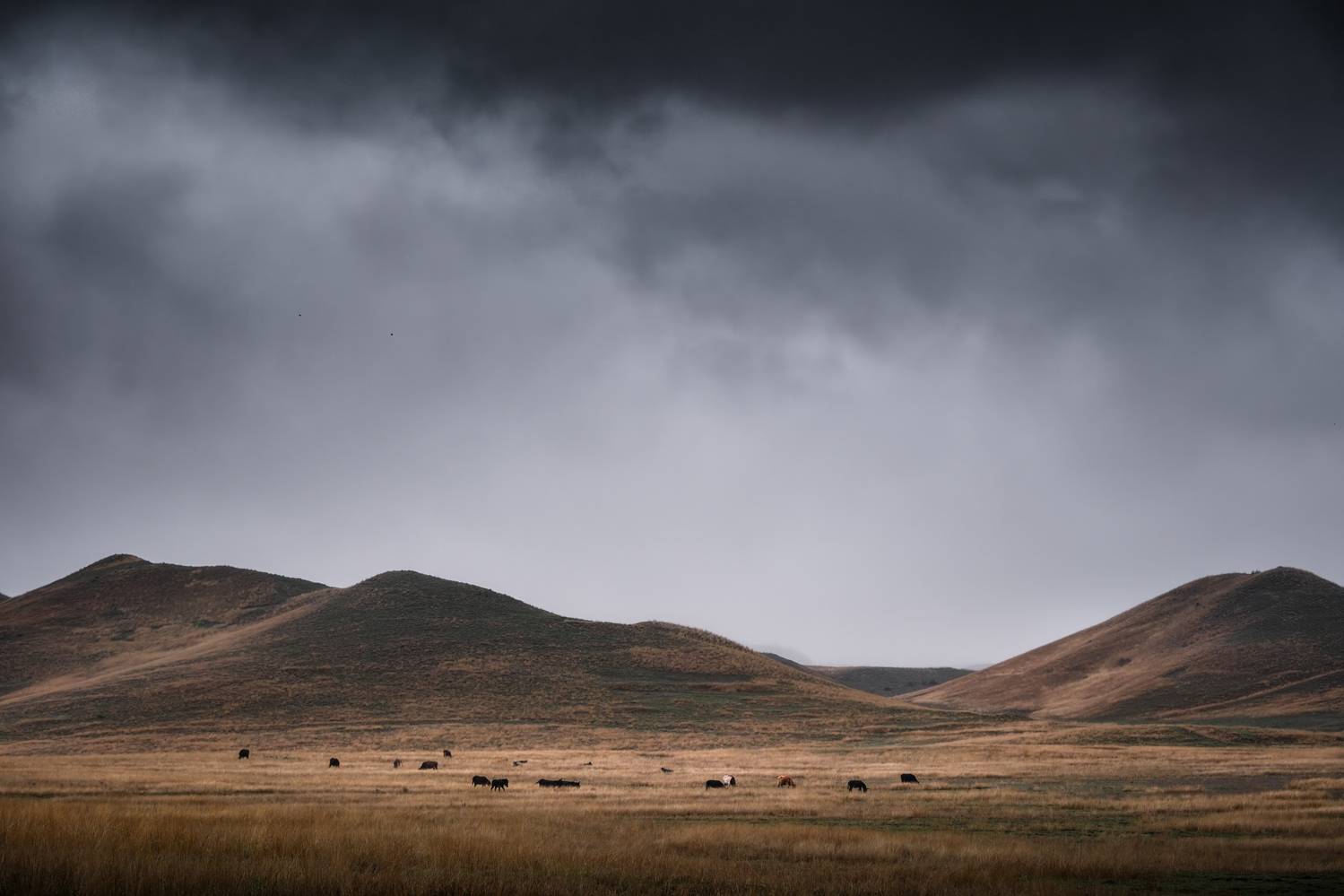 , Георгий Бычковский