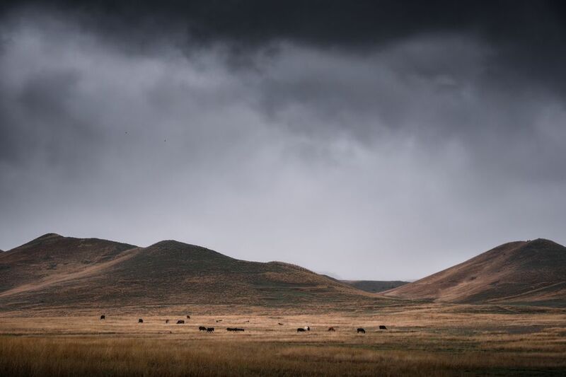 Udabno фото превью