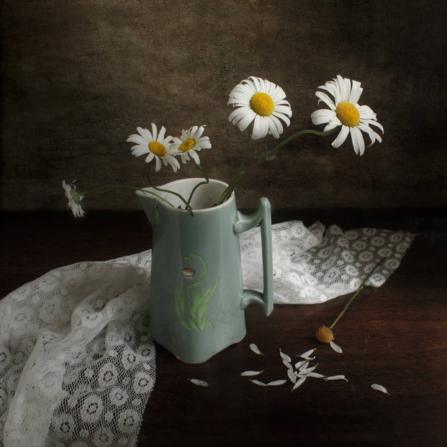 ромашки, цветы, Елена Колеснева