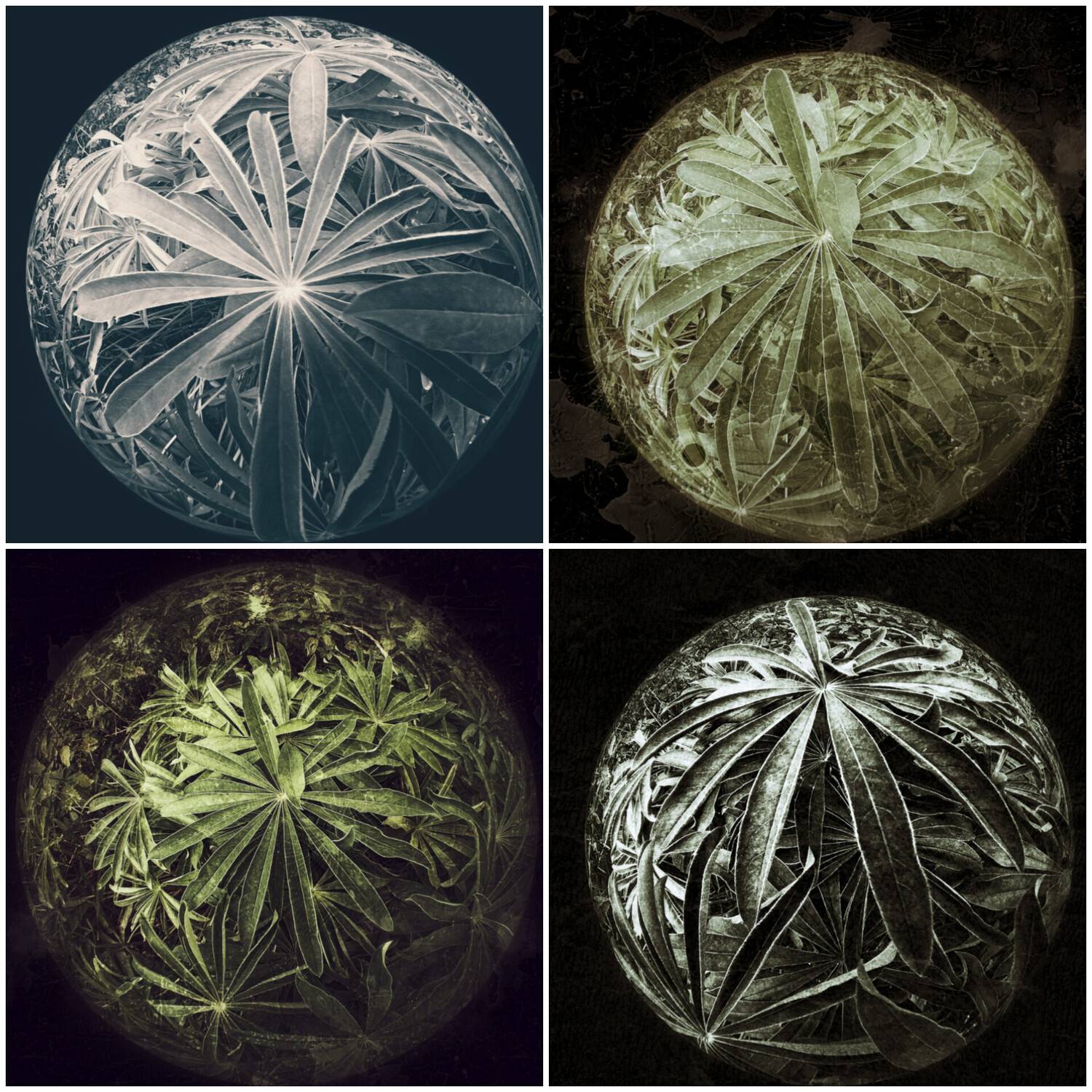 , Михаил Кабанов