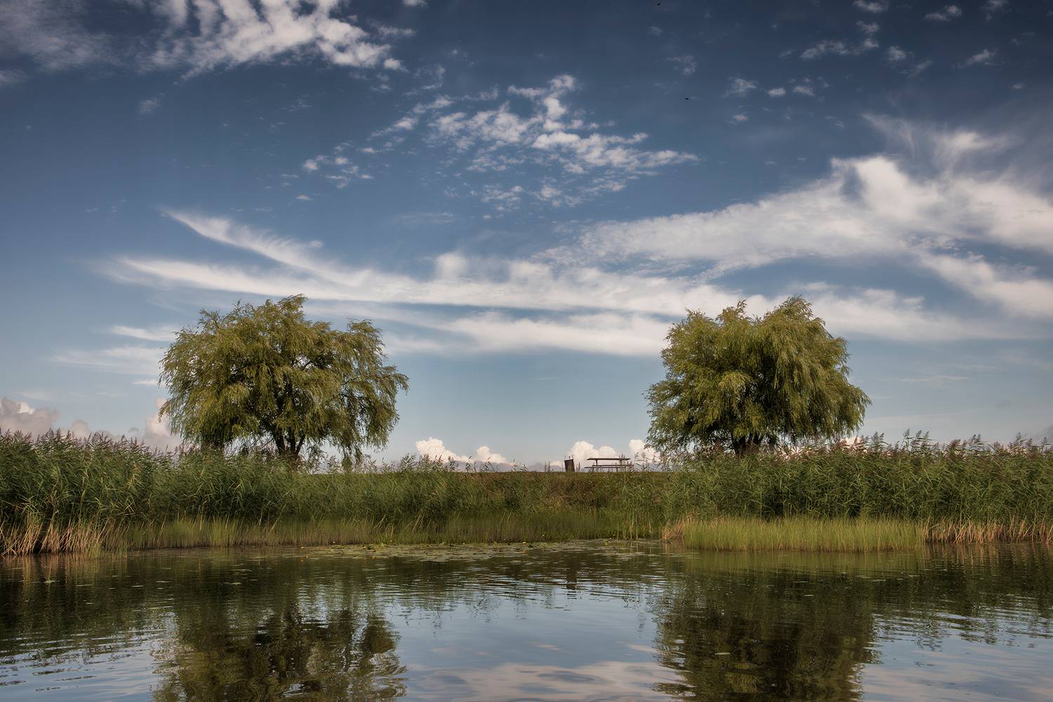 , Александр Смыков