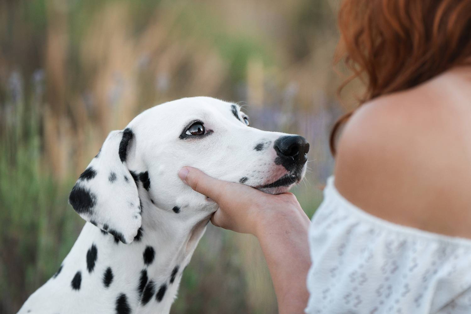 , Андрианова Ирина