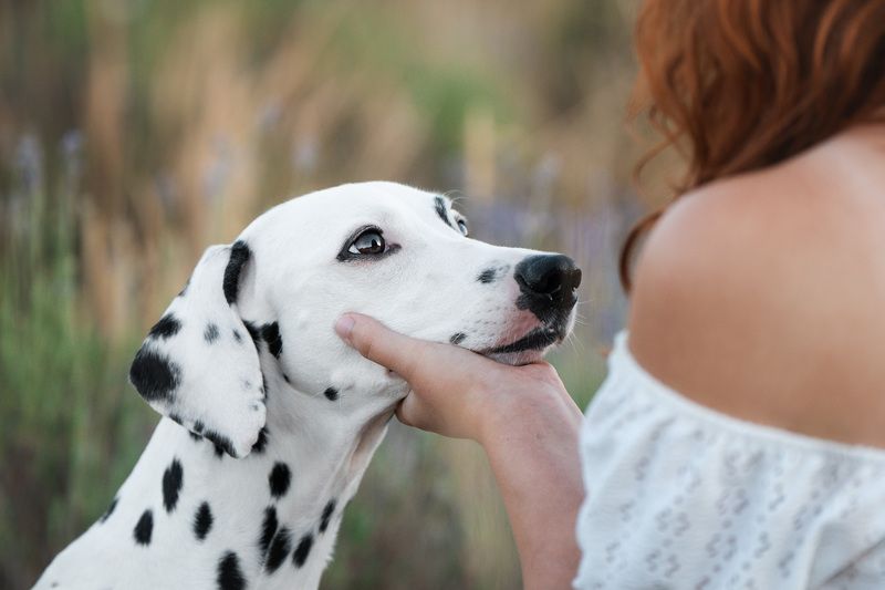 Взгляд фото превью