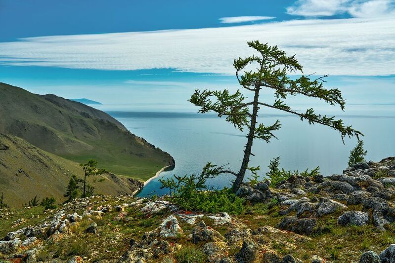 * фото превью