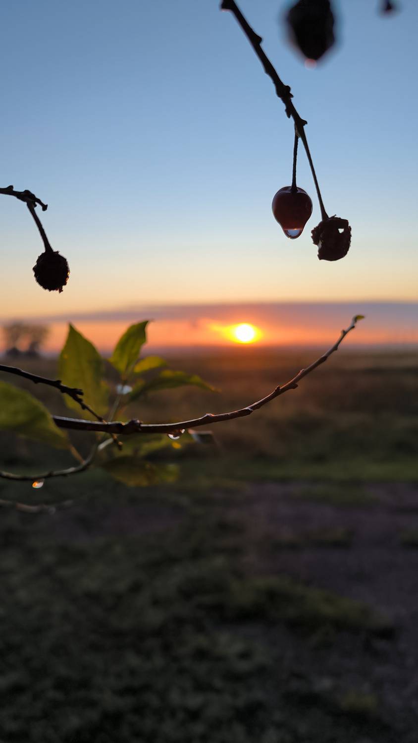 закат пейзаж, Лариса Белякова